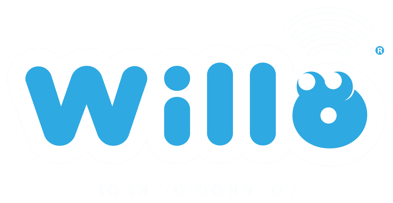 Willo, Reti dati, accessi, wi-fi, telefonia, cyber security